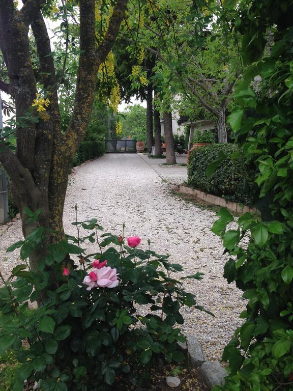 B&B Il Giovine Campello sul Clitunno Ngoại thất bức ảnh