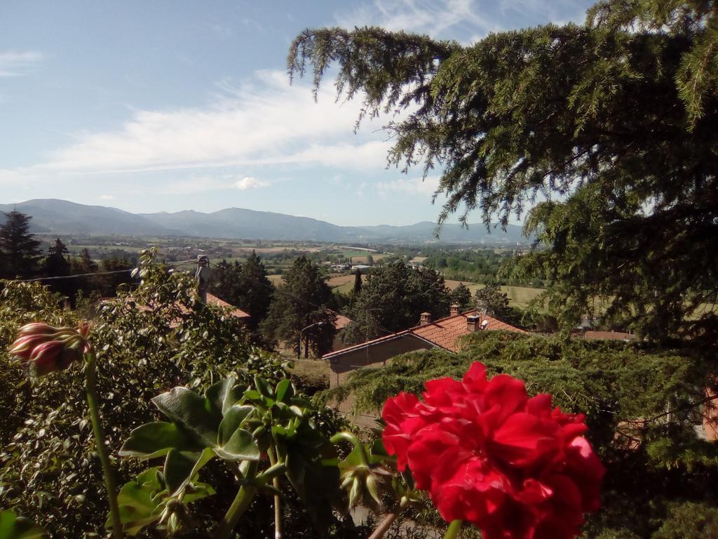 B&B Il Giovine Campello sul Clitunno Ngoại thất bức ảnh